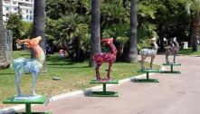 img_13446_slide2.jpg